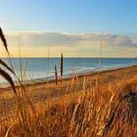 Solese Maison Avec A 500m De La Dom wakacyjny Le Bois-Plage-en-Ré